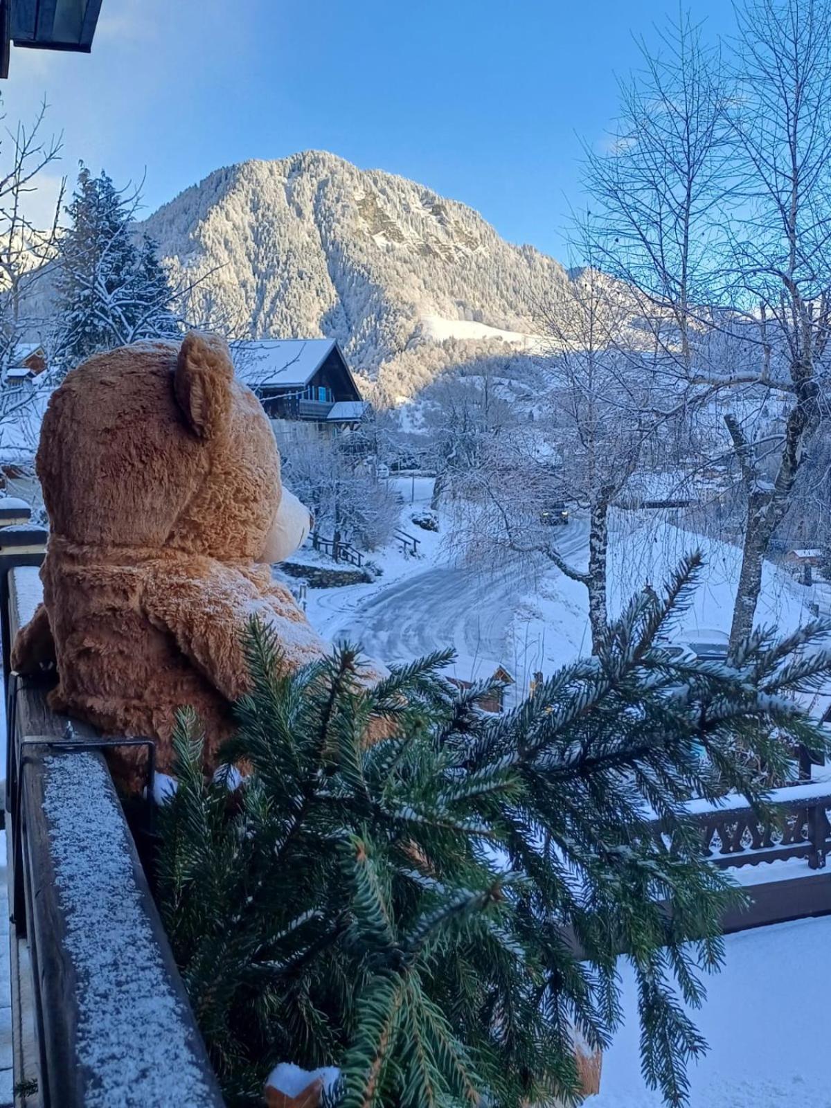 Chalet Appart'Hotel L'Eau Vive Saint-Nicolas-la-Chapelle  Esterno foto